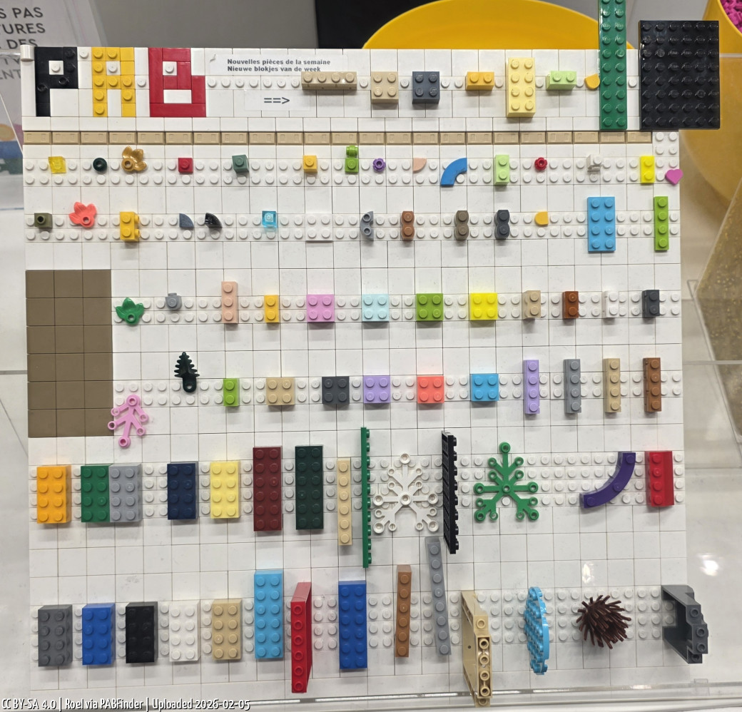 Pick a Brick Brussels (Roel, 2/5/26, 1:05:06 PM)