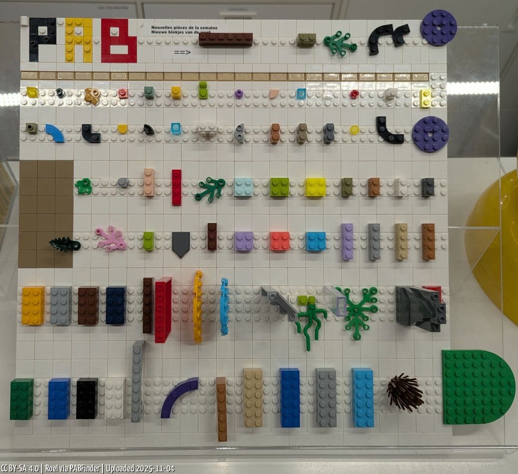 Pick a Brick Brussels (Roel, 11/4/25, 12:53:53 PM)