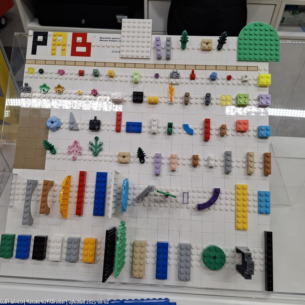 Pick a Brick Brussels (Maxime, 8/2/25, 11:53:47 AM)