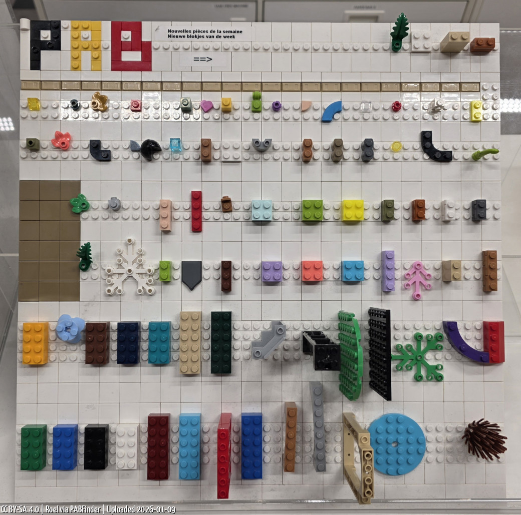 Pick a Brick Brussels (Roel, 1/9/26, 1:23:26 PM)