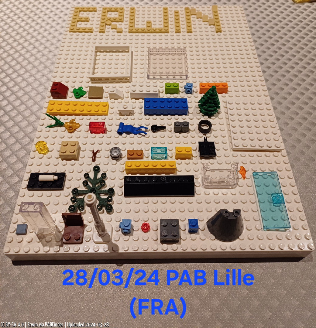 Pick a Brick Lille (Erwin, 3/28/24, 8:15:54 PM)